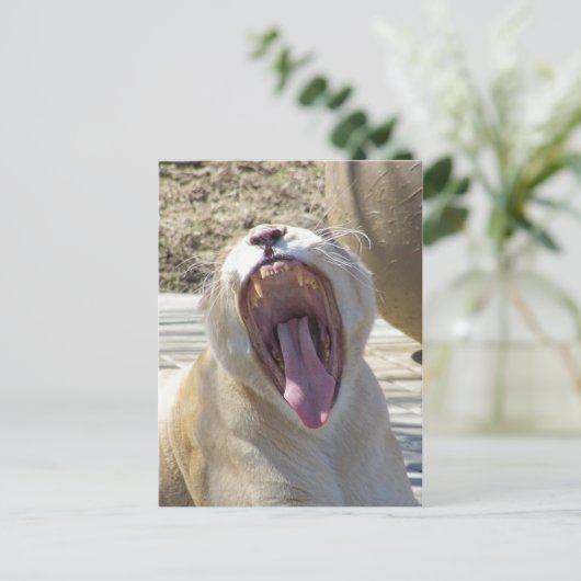 Carte Postale Diffusez Les Nouvelles ! (Debout devant)