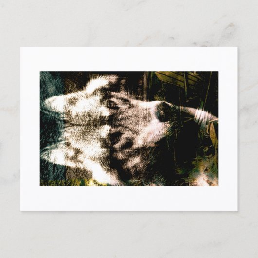 Carte Postale Digital Remix Art : Wolf Postcard Print by JHT (Devant)
