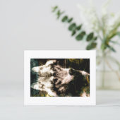 Carte Postale Digital Remix Art : Wolf Postcard Print by JHT (Debout devant)