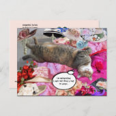 Carte Postale Dilemme de Princess Tatus Cat (Devant / Derrière)