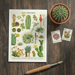 Carte postale d'illustration botanique de cactus s