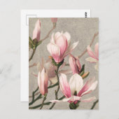 Carte postale d'illustration botanique vintage (Devant / Derrière)