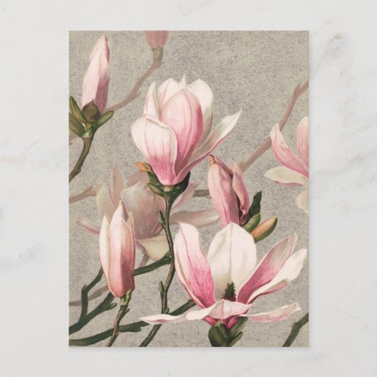 Carte postale d'illustration botanique vintage (Devant)