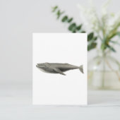 CARTE POSTALE D'ILLUSTRATION DE BALEINE vintage (Debout devant)