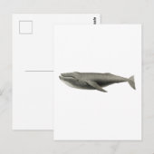 CARTE POSTALE D'ILLUSTRATION DE BALEINE vintage (Devant / Derrière)