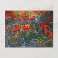 Carte postale d'illustration de Digitals