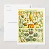 Carte postale d'illustration végétale vintage (Devant / Derrière)