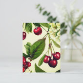 Carte postale d'illustration vintage de cerise (Debout devant)