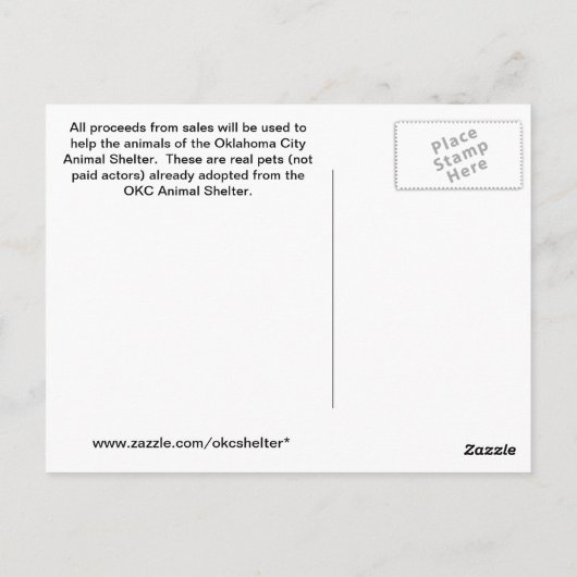 Carte Postale Dilute Tortoiseshell Kitten (Dos)