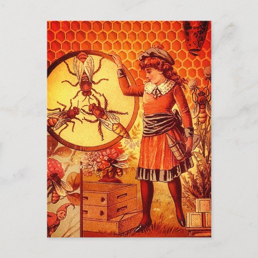 Carte postale d'image de fille apicultrice de abei (Devant)