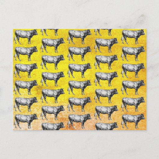 Carte postale d'image de vache de ferme ancienne (Devant)