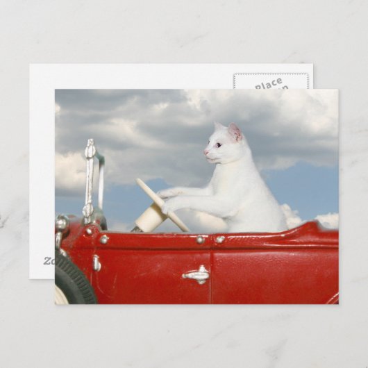 Carte Postale Dimanche (Devant / Derrière)