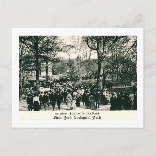 Carte Postale Dimanche au Bronx Zoo Vintage (Devant)