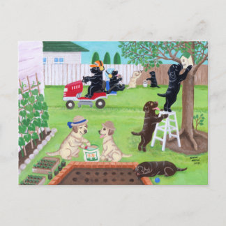 Carte Postale Dimanche Fun Labradors Peinture