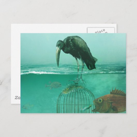 Carte Postale dimension alternative (Devant / Derrière)