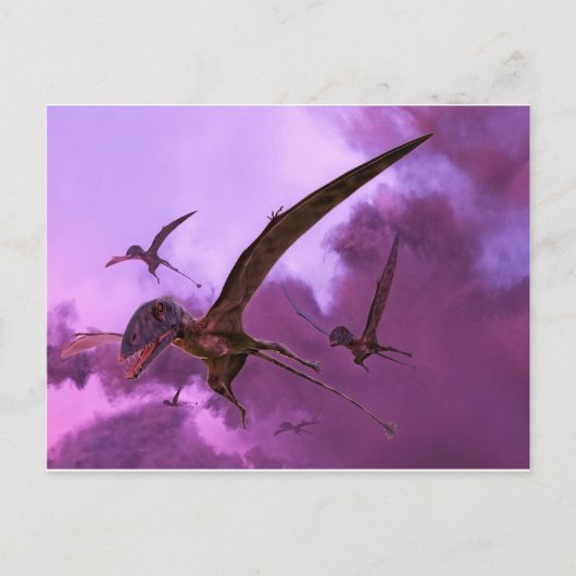 Carte Postale Dimorphodons s'enfuit des nuages (Devant)