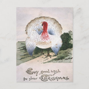 Carte Postale Dinde de Noël Antique