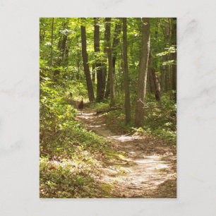 Carte Postale Dinde des Appalaches