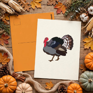 Carte Postale Dinde Oiseau Dinde