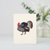 Carte Postale Dinde Oiseau Dinde (Debout devant)