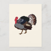 Carte Postale Dinde Oiseau Dinde (Devant)