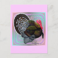 Dinde : Tom Bronze Floral