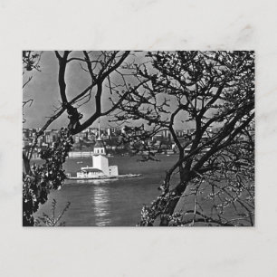 Carte Postale Dinde Turquie Istanbul vue de la ville