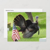 Carte Postale Dindon Patriote Faisant la Roue (Devant / Derrière)