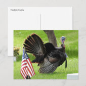 Carte Postale Dindon patriotique fait le pas (Devant / Derrière)
