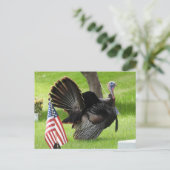 Carte Postale Dindon patriotique se pavanant (Debout devant)