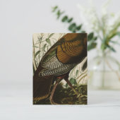 Carte Postale Dindon Sauvage Millésime 1825 (Debout devant)