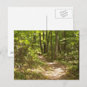 Carte Postale dindons de la pennsylvanie (Devant / Derrière)