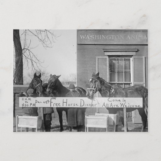Carte Postale Dîner gratuit pour les chevaux, 1923 (Devant)