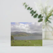 Carte Postale Dingle Bay, Co. Kerry (Debout devant)