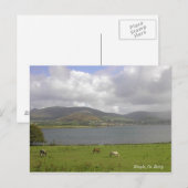 Carte Postale Dingle Bay, Co. Kerry (Devant / Derrière)