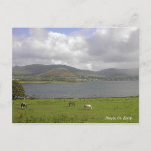 Carte Postale Dingle Bay, Co. Kerry