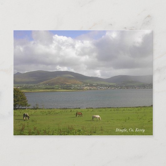 Carte Postale Dingle Bay, Co. Kerry (Devant)