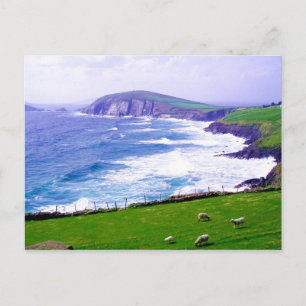 Carte postale Dingle Irlande