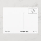 Carte postale Dingo australienne (Dos)