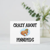 Carte Postale Dingue de Pinnipeds (Debout devant)