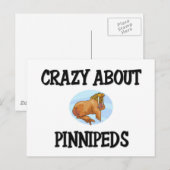 Carte Postale Dingue de Pinnipeds (Devant / Derrière)