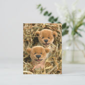 Carte Postale Dinky Bears Farmer Kids (Debout devant)