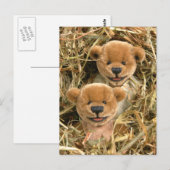 Carte Postale Dinky Bears Farmer Kids (Devant / Derrière)