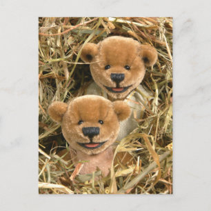 Carte Postale Dinky Bears Farmer Kids