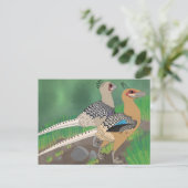 Carte postale Dinosaur - Acheroraptor (Debout devant)