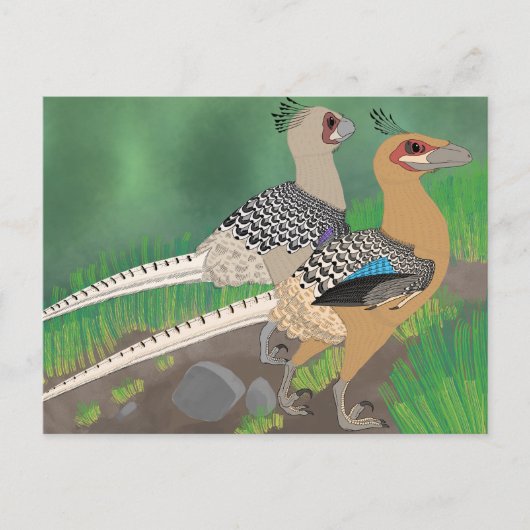 Carte postale Dinosaur - Acheroraptor (Devant)