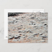 Carte Postale Dinosaure (Devant / Derrière)