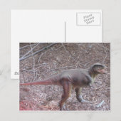 Carte Postale dinosaure (Devant / Derrière)
