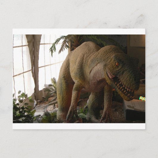 Carte Postale dinosaure (Devant)