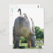 Carte Postale Dinosaure Brontosaurus (Devant / Derrière)